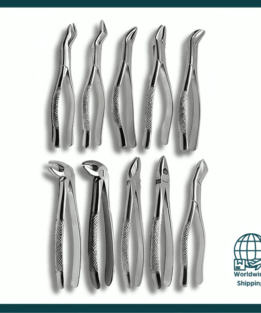 10 Pcs Dental Extracting Forceps