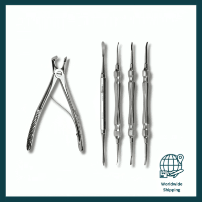 5 Piece Deciduous Teeth Set