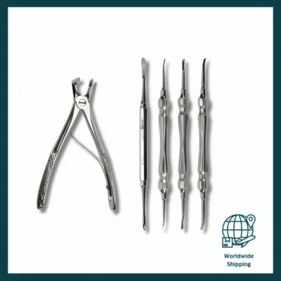 5 Piece Deciduous Teeth Set