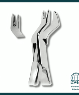 Extracting Forceps American Pattern